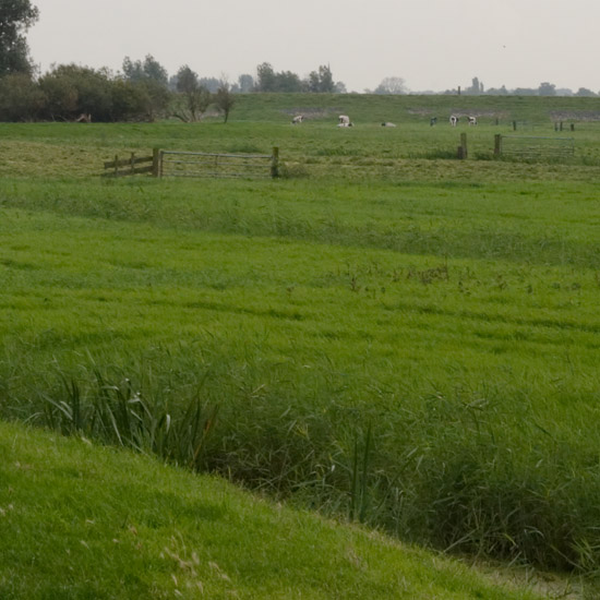 Zoom: De Oosterkoog, buitendijks tegenover Etersheim bij Schardam, met links het IJsselmeer