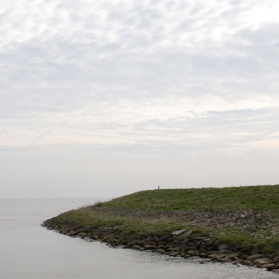 Aan de Zuiderzee; het schelpengritje tussen Schardam en Scharwoude, in oktober