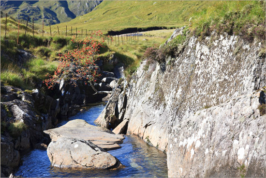 Late summer: sitting on the edge and waiting for hippopotamuses