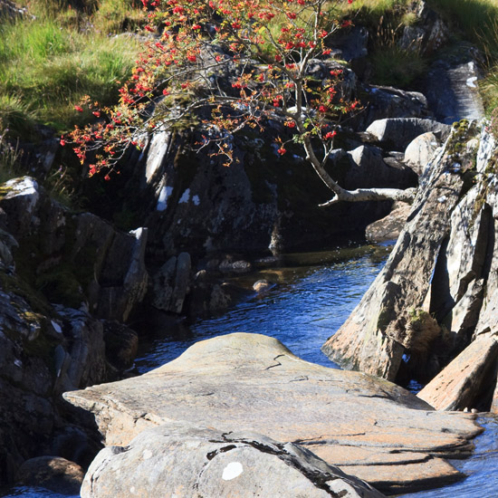 Late summer: sitting on the edge and waiting for hippopotamuses