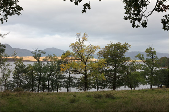 Frivolous autumn trees watching the morning sun showing off on the far side of the loch