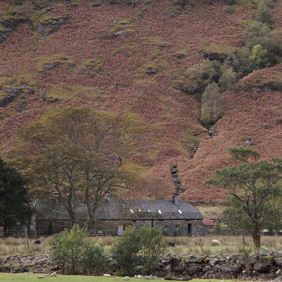 Barisdale farm in autumn setting