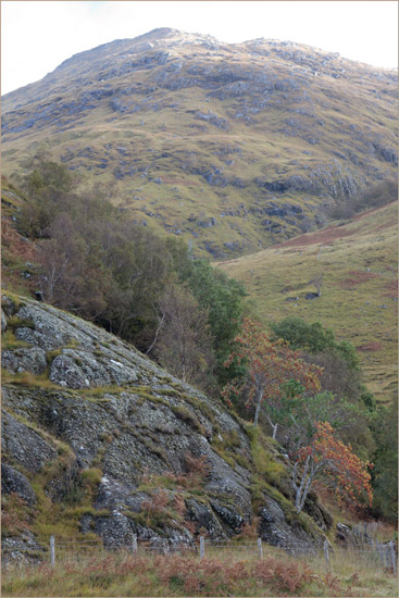 The wee Mhaoraich from the end of the field