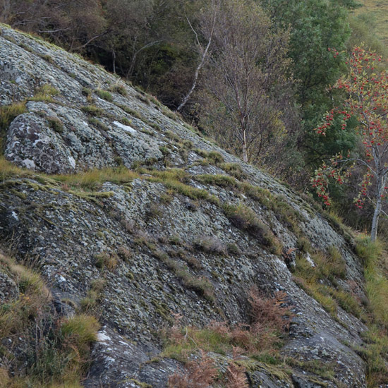 The wee Mhaoraich from the end of the field