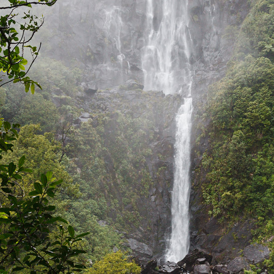 Wairere Falls hanging like a curtain from the rocks