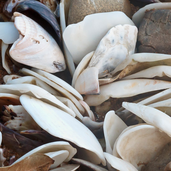 Volcanic bread hiding in shell company