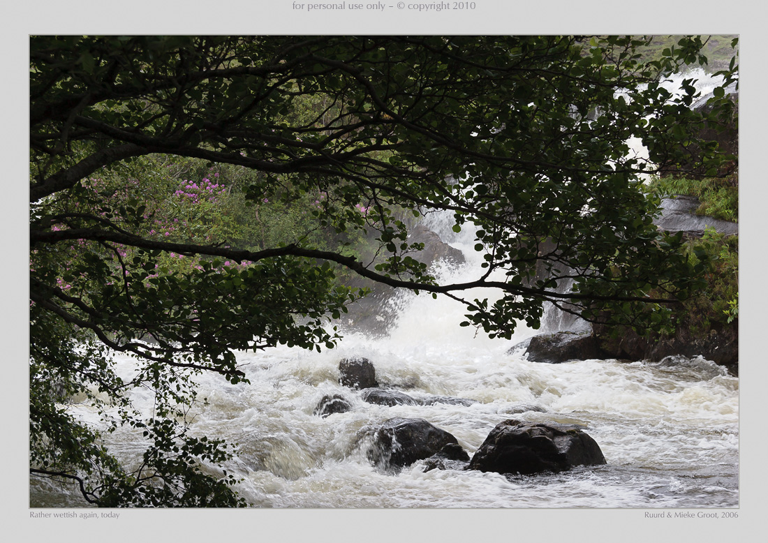 Rather wettish again, today