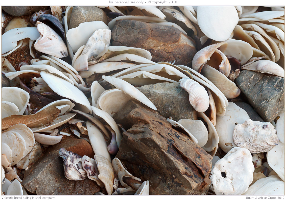 Volcanic bread hiding in shell company